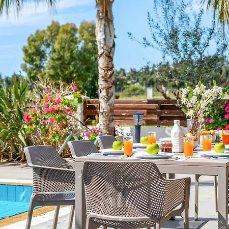 Villa Cape Greco Palm Trees Protaras
