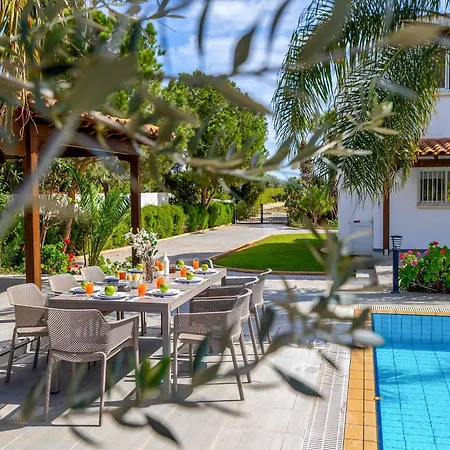 Villa Cape Greco Palm Trees Protaras
